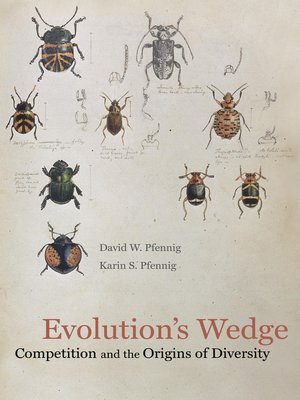 cover image of Evolution's Wedge